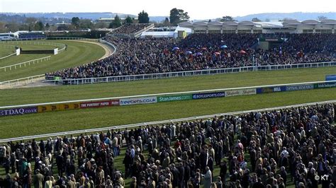 cheltenham festival results|Cheltenham Festival Results .